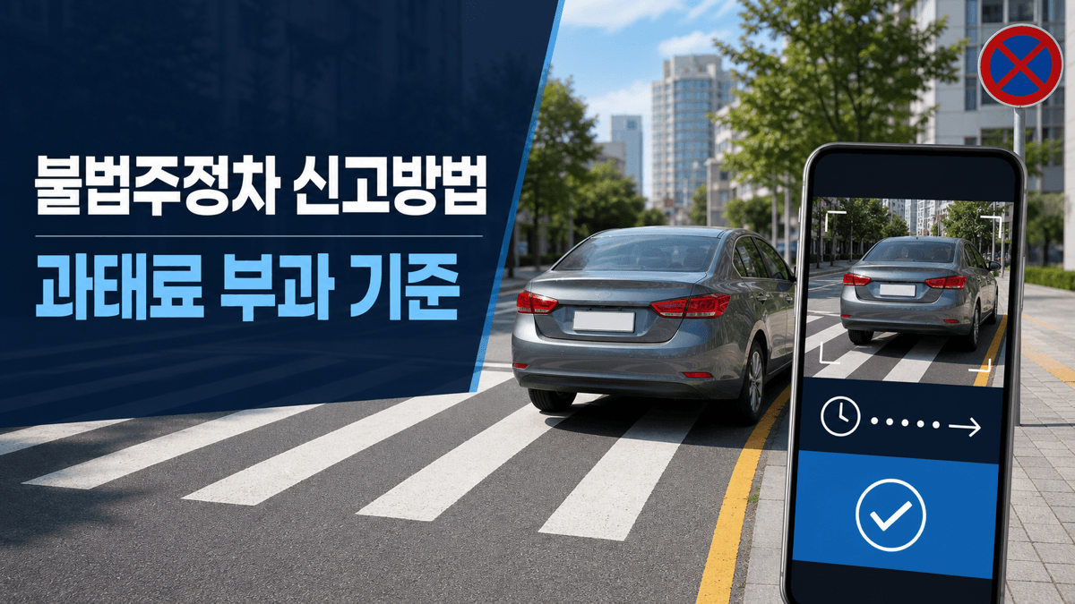 안전신문고 앱으로 횡단보도 불법주정차 차량을 촬영해 신고하는 방법과 과태료 기준